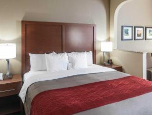 LaGrange Hotel | Comfort Inn & Suites LaGrange East