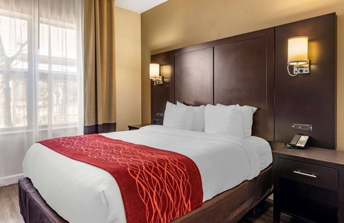 Lithia Springs Hotel | Comfort Inn & Suites near Six Flags
