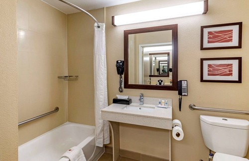 Lithia Springs Hotel | Comfort Inn & Suites near Six Flags