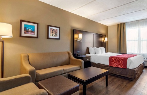 Lithia Springs Hotel | Comfort Inn & Suites near Six Flags