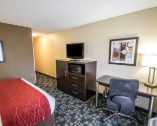 Southwest Orlando Hotel | Comfort Inn & Suites Near Universal Orlando Resort-Convention Ctr