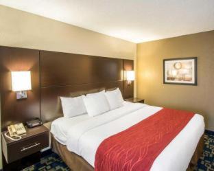 Southwest Orlando Hotel | Comfort Inn & Suites Near Universal Orlando Resort-Convention Ctr