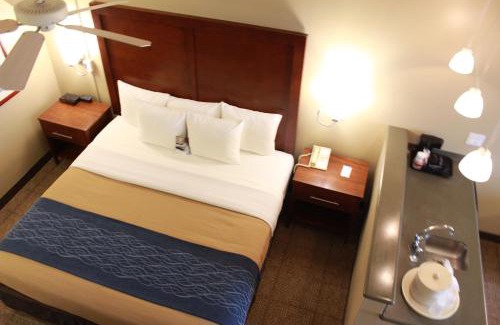 Ocean Shores Hotel | Comfort Inn & Suites Ocean Shores
