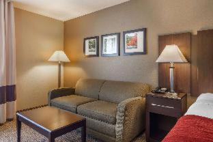 Perry Hotel | Comfort Inn & Suites Perry National Fairgrounds Area