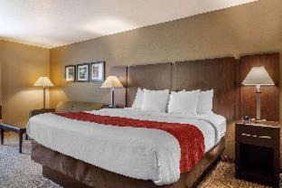 Perry Hotel | Comfort Inn & Suites Perry National Fairgrounds Area
