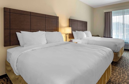 East Allegheny Hotel | Comfort Inn & Suites Pittsburgh-Northshore