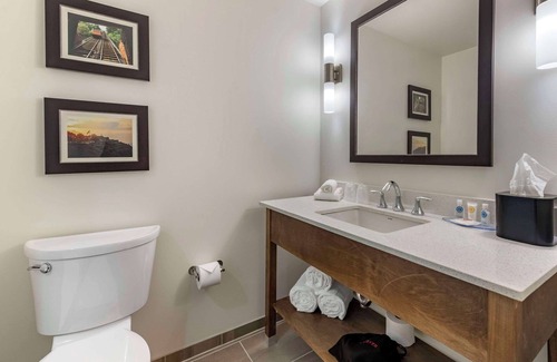 East Allegheny Hotel | Comfort Inn & Suites Pittsburgh-Northshore