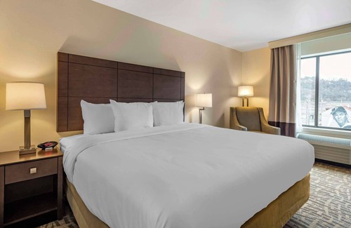 East Allegheny Hotel | Comfort Inn & Suites Pittsburgh-Northshore