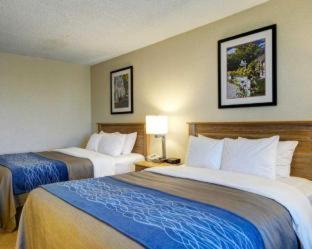 Downtown Little Rock Hotel | Comfort Inn & Suites Presidential
