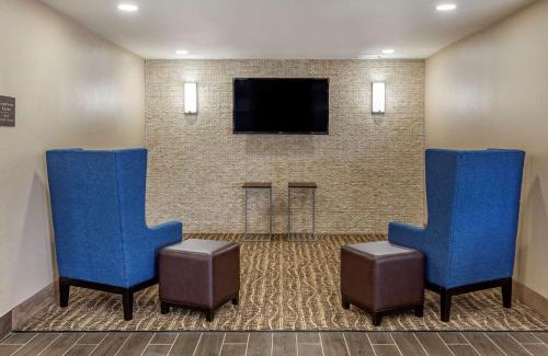 Pine Forest Hotel | Comfort Inn & Suites Spring Lake - Fayetteville near Fort Bragg