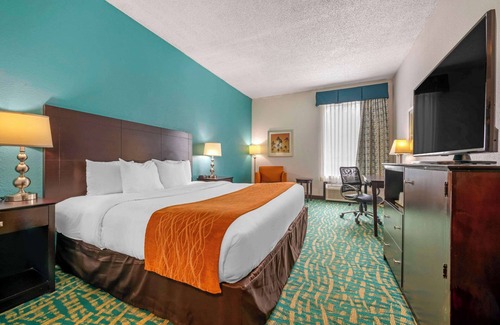 Survey Creek Hotel | Comfort Inn & Suites Fort Lauderdale West Turnpike
