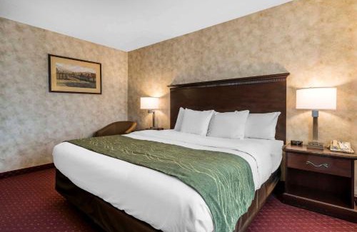 Walla Walla Hotel | Comfort Inn & Suites Walla Walla