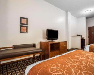 Summerville Hotel | Comfort Inn Summerville - Charleston