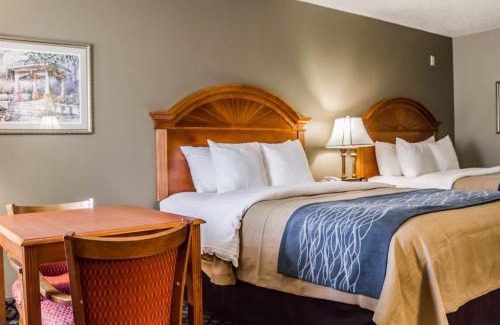 Sun City Center Hotel | Comfort Inn Sun City Center - Ruskin - Tampa South