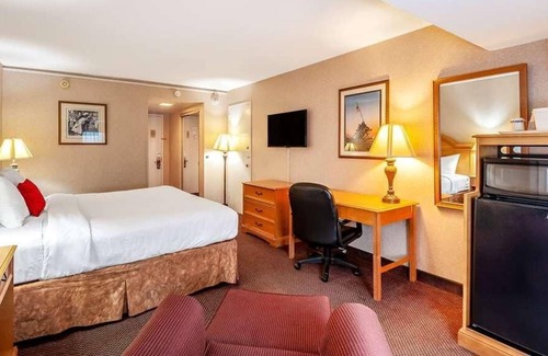 Radnor - Fort Myer Heights House | Comfort Meets Affordability at Red Lion Hotel Rosslyn Iwo Jima! Pets Allowed!