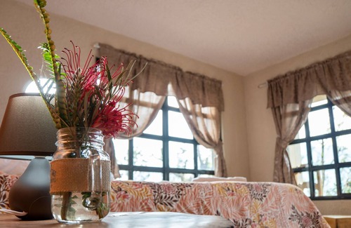Tzampetey House | Comfort Santiaguito