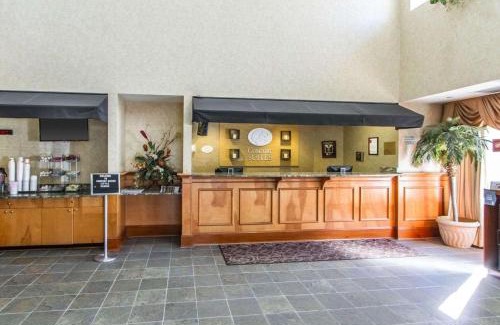 Kenner - Louis Armstrong International Airport Hotel | Comfort Suites Airport