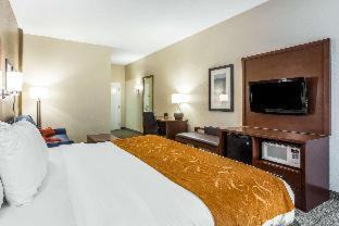 Red Hill Hotel | Comfort Suites At the University