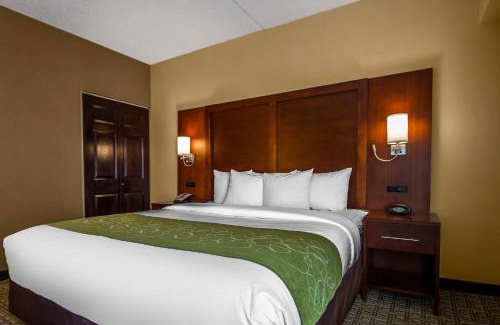 Avenel Hotel | Comfort Suites at Woodbridge