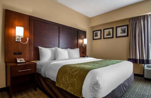 Avenel Hotel | Comfort Suites at Woodbridge