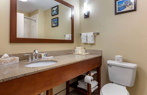 Clayton Hotel | Comfort Suites Clayton - Garner