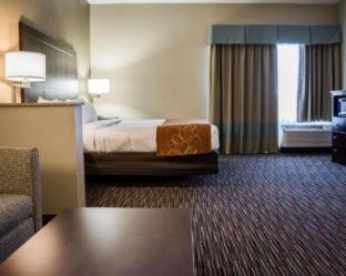 Clearwater Hotel | Comfort Suites Clearwater - Dunedin