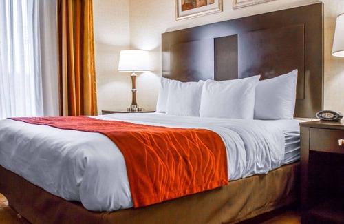 Edinboro Hotel | Comfort Suites Edinboro