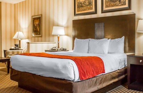 Edinboro Hotel | Comfort Suites Edinboro