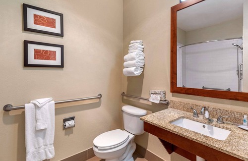 Fort Collins Hotel | Comfort Suites Fort Collins Near University