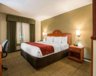 Fort Pierce Hotel | Comfort Suites Fort Pierce I-95