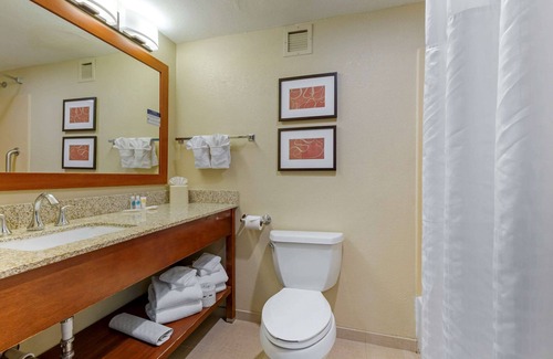 Fredericksburg Hotel | Comfort Suites Fredericksburg South