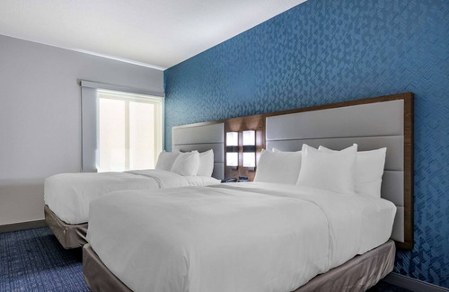 Gainesville Hotel | Comfort Suites Gainesville near University