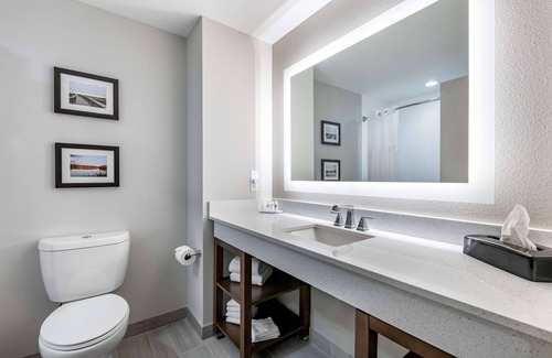 Gainesville Hotel | Comfort Suites Gainesville near University