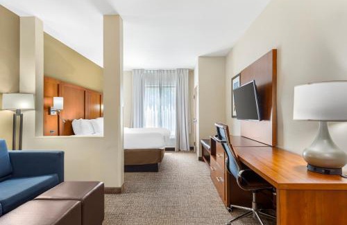 Greensboro Hotel | Comfort Suites Greensboro-High Point