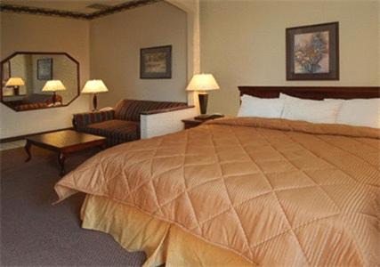 Hattiesburg Hotel | Comfort Suites Hattiesburg near University