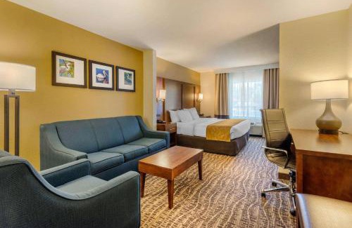 The Villages Hotel | Comfort Suites Lady Lake - The Villages