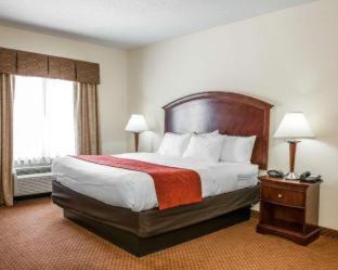 Wayne Hotel | Comfort Suites near Indianapolis Airport