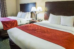 Orlando Hotel | Comfort Suites Orlando Airport