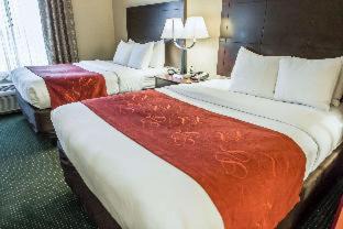 Orlando Hotel | Comfort Suites Orlando Airport
