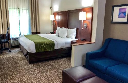 Cary Hotel | Comfort Suites Regency Park