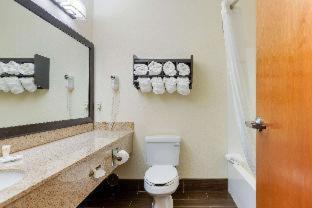 Stevensville Hotel | Comfort Suites Stevensville - St Joseph