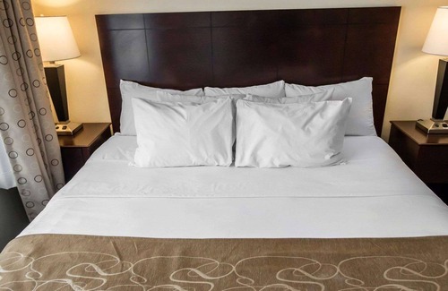 South Bend Hotel | Comfort Suites University Area Notre Dame - South Bend