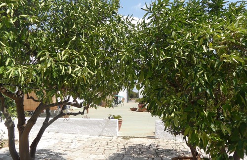 San Vito dei Normanni House | Comfortable three-room apartment for 4/5/6 places. Masseria 8 km from the sea and Ostuni