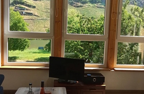 Wolf Apartment | Comfortable apartment, plus a balcony with stunning river view