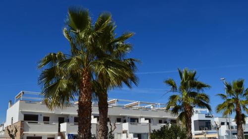 Torre de la Horadada Apartment | Comfortable Apartment in Torre de la Horadada