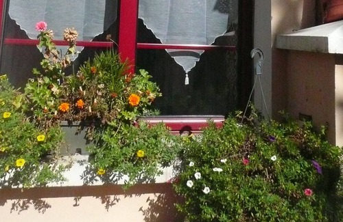 Argeles Gazost Apartment | Comfortable apartment in traditional renovated house