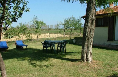 Asciano Apartment | Comfortable apartment, ground floor, with a large private garden