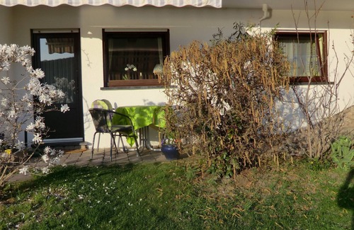 Mainz-Bingen Apartment | Comfortable apartment in the vineyards with a wonderful view of the Rhine and castles