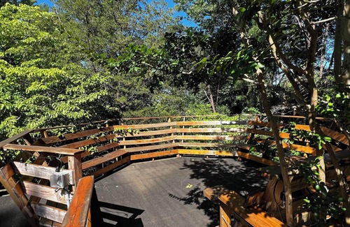 Mill Spring Cabin | Comfortable cabin in the mountains of North Carolina, located near TIEC.