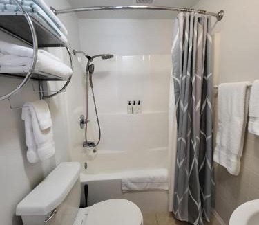 Birch Bay Apartment | Comfortable Studio #1 Across The Street From The Beach